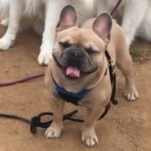 Meet your Posher, Stacy